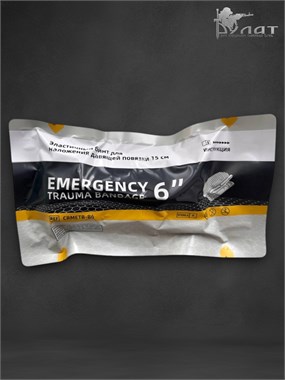 ИПП 6 дюймов 6686