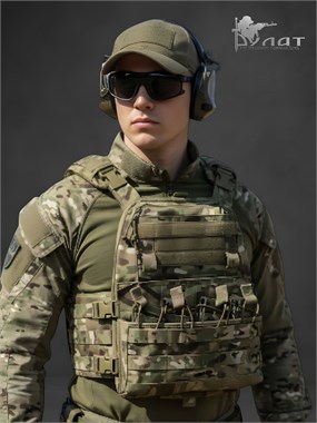 Плитоносец 