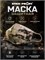 Маска защитная	Stich Profi 6226_D0946